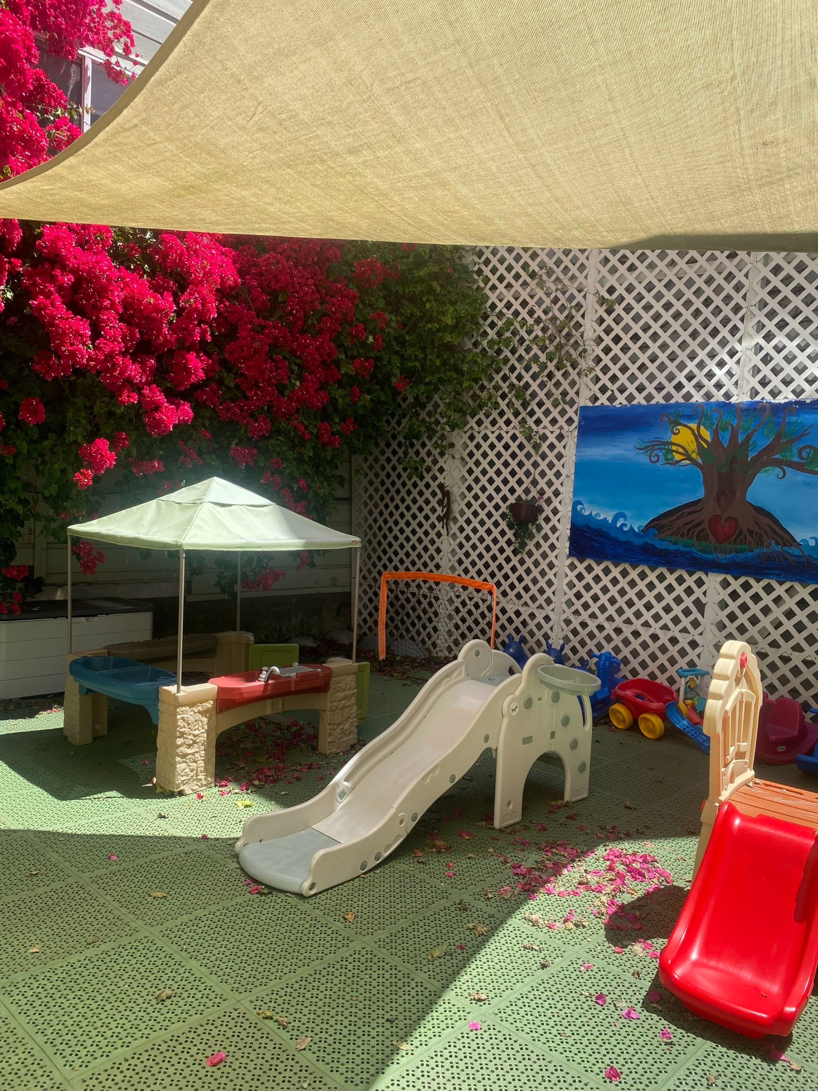 Our private backyard play space, with a shade sail, slides, water table and bougainvillea